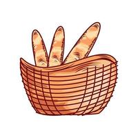 baguette breads in basket vector