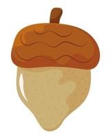 acorn nut icon vector