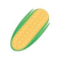 corn cartoon icon vector