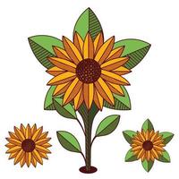 Sunflower vector illustration. Sunflower isolated. Botanical floral illustration. Yellow summer flower Icon set
