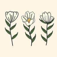 Floral botany flowers illustrations. Collection of various blooming plants with stems and leaves isolated. vector