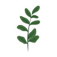 nature plant icon vector