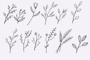 flower leaves doodle hand drawn vector illustration set