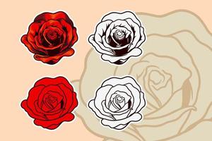 Rose flower vector illustration set