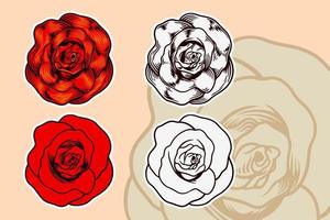 conjunto de ilustración de vector de flor rosa