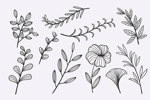 flower leaves doodle hand drawn vector illustration set