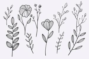 flower leaves doodle hand drawn vector illustration set