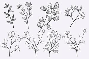 flower leaves doodle hand drawn vector illustration set