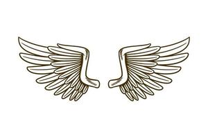 eagle wing vector illustration