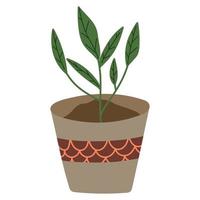 gardening plant in pot vector