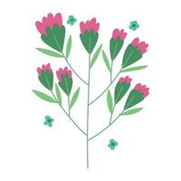 flowers branch foliage vector