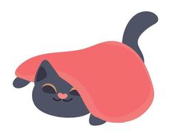 cat with blanket vector