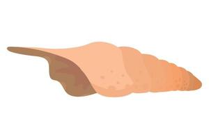 sea snail shell vector