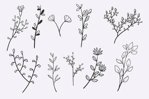flor hojas doodle dibujado a mano vector ilustración conjunto