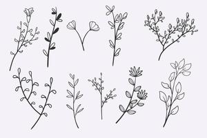 flower leaves doodle hand drawn vector illustration set