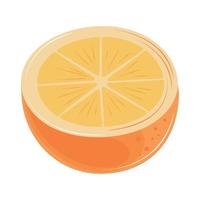 slice orange cartoon vector