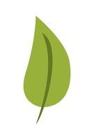 green ecology leaf vector