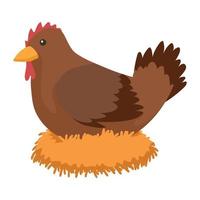 gallina ave animal especia vector