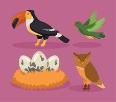 four birds species icons vector