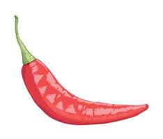 healthy chili pepper vegetable vector