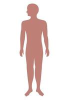 silhouette human body pink vector