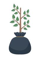 plant tree in bag vector