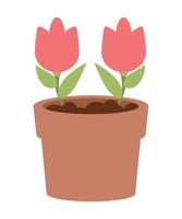 planta de rosas de jardín vector