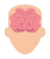 brain in head vector