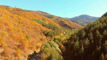 Asphalt road turn right surrounded by green yellow autumn nature. Road trip caucasus concept video