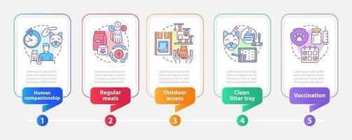 Bringing new cat home tips rectangle infographic template. Data visualization with 5 steps. Process timeline info chart. Workflow layout with line icons. vector