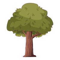 nature tree plant vector