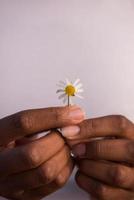 portrait of African American girl with a flower in her hand photo