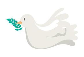 dove with olive branch vector