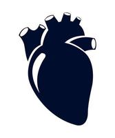 diseño de corazón humano vector