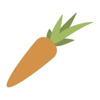 carrot fresh vegetable vector
