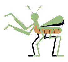 cricket insect garden spring vector