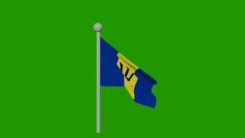 Barbados flag green screen video