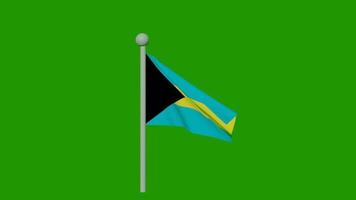 Bahamas flag animation video