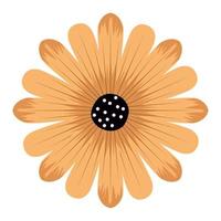 orange flower spring vector