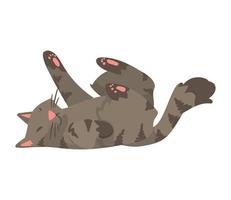 gray cute cat mascot vector