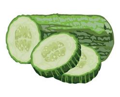 healthy cucumbers vegetable vector