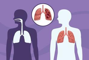 pulmones humanos realistas vector