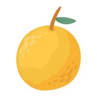 orange citrus fruit vector