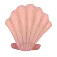 pink sea shell vector