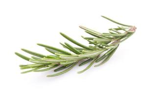 rosemary isolated on white background photo