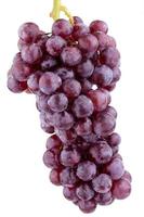 uva roja fresca sobre fondo blanco foto