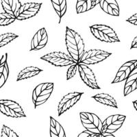 Seamless pattern with herbs. Hand drawn vector illustration in sketch style.