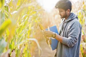 South asian agronomist farmer inspecting corn field farm. Agriculture production concept. photo