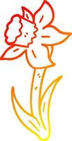 warm gradient line drawing cartoon daffodil vector