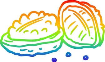 rainbow gradient line drawing walnuts vector